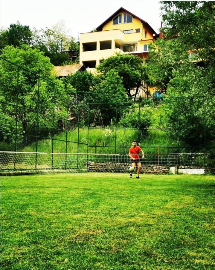 Doftana Apartaments Teşila Esterno foto