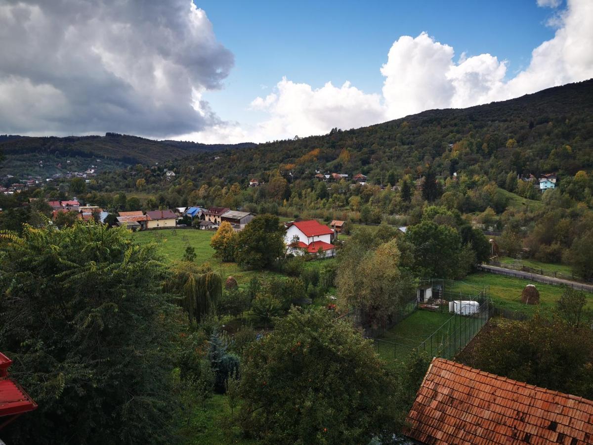 Doftana Apartaments Teşila Esterno foto
