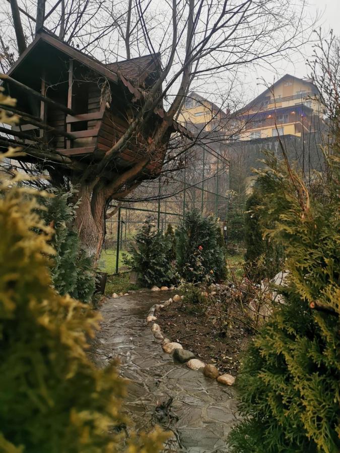 Doftana Apartaments Teşila Esterno foto