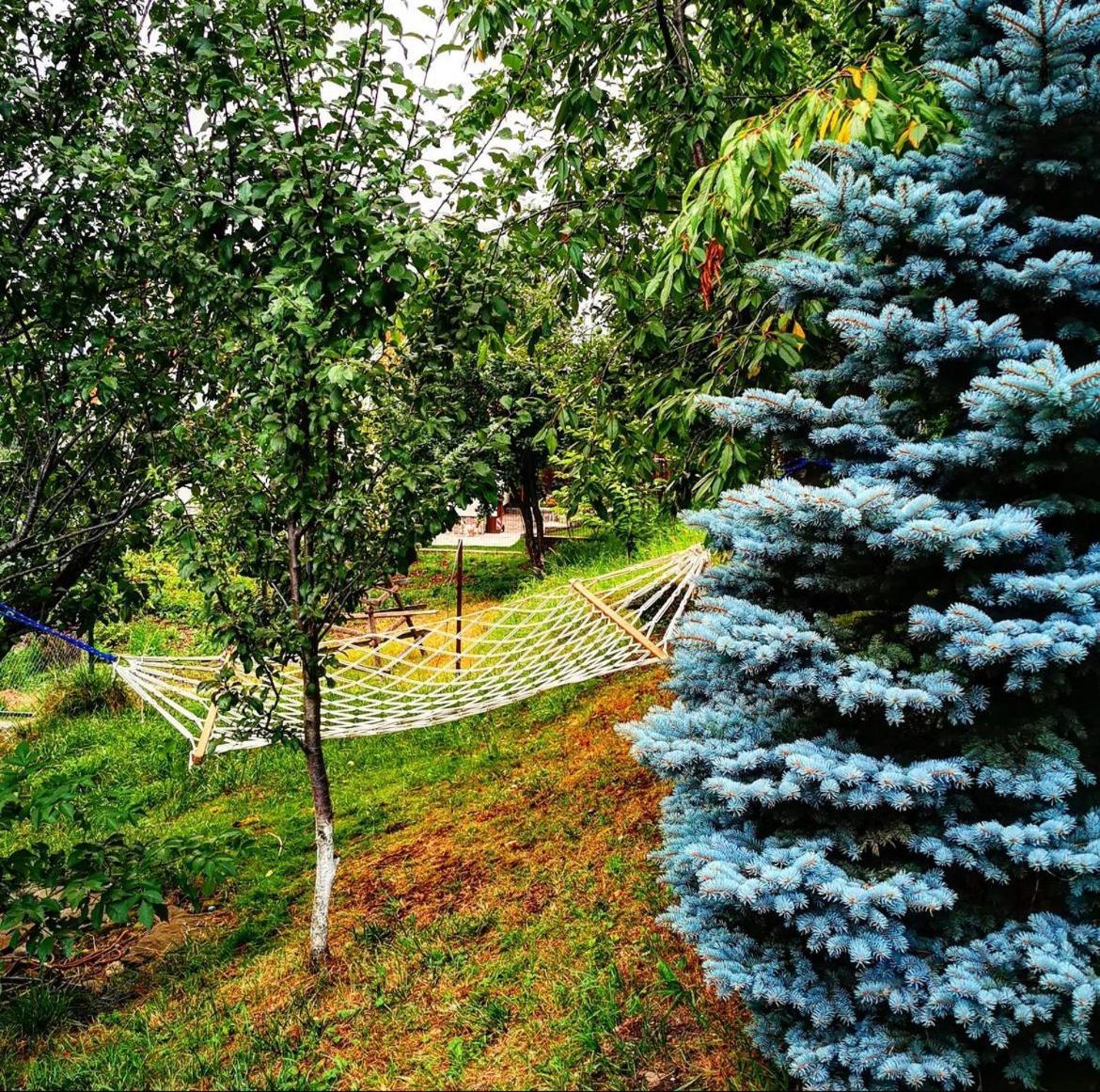 Doftana Apartaments Teşila Esterno foto