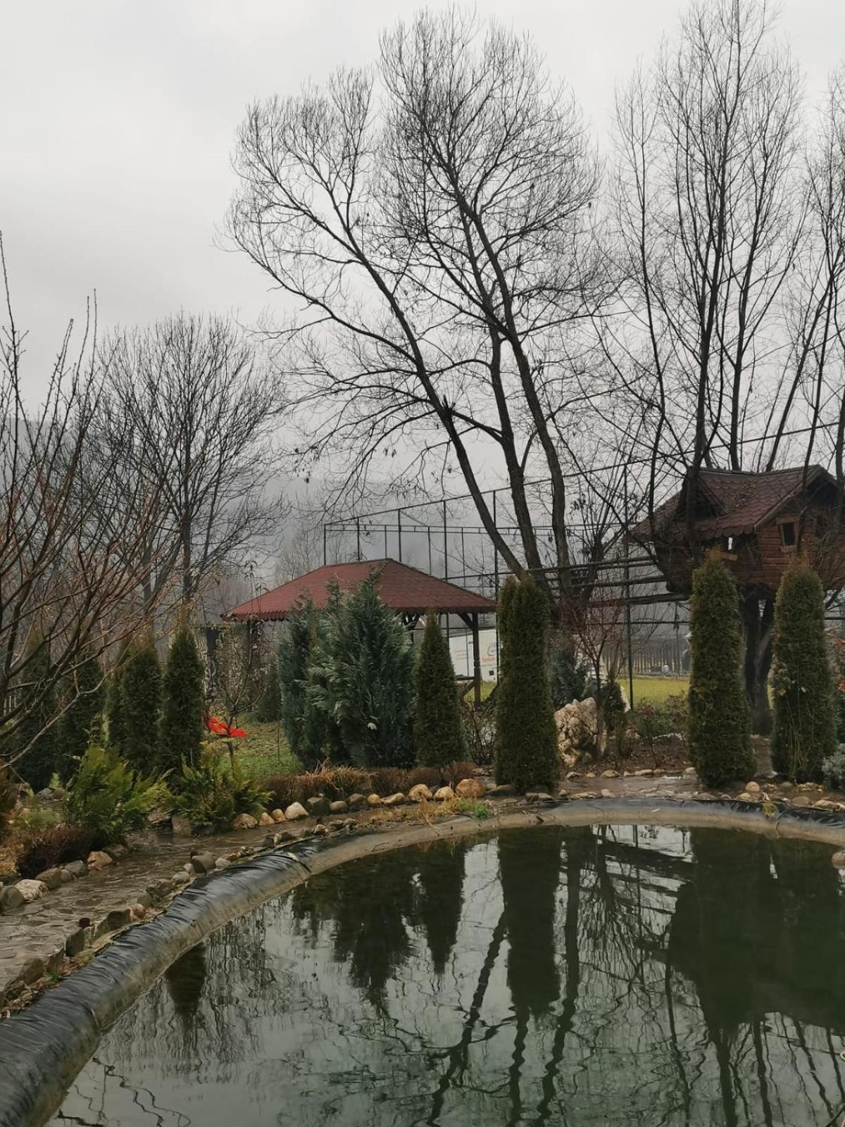 Doftana Apartaments Teşila Camera foto